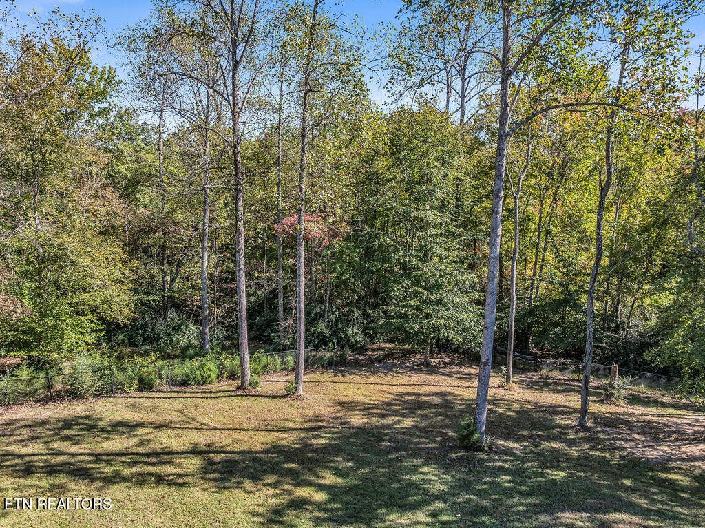 139 CCC Camp Road Norris, TN 37828 - Photo 56 of 59 Gallery Image 56