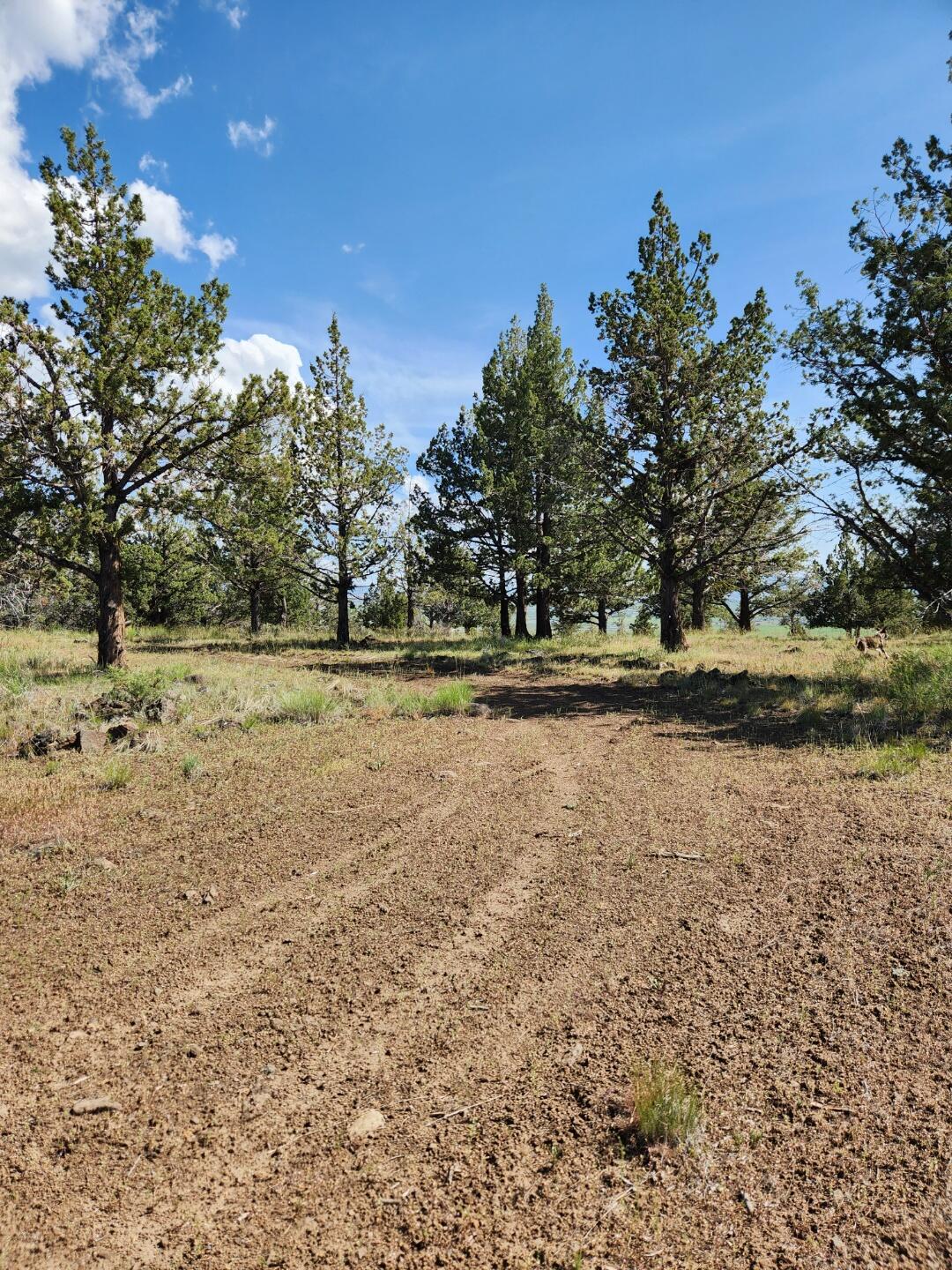 Hummingbird Lane Alturas, CA 96101 - Photo 1 of 5 Main