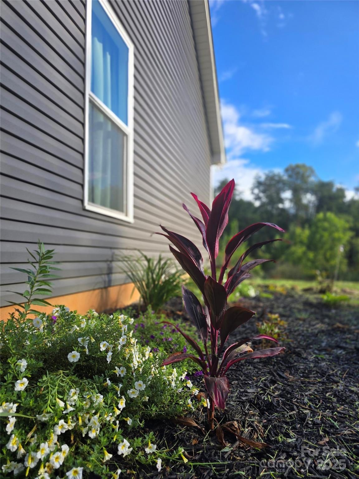a view of a house with a tree