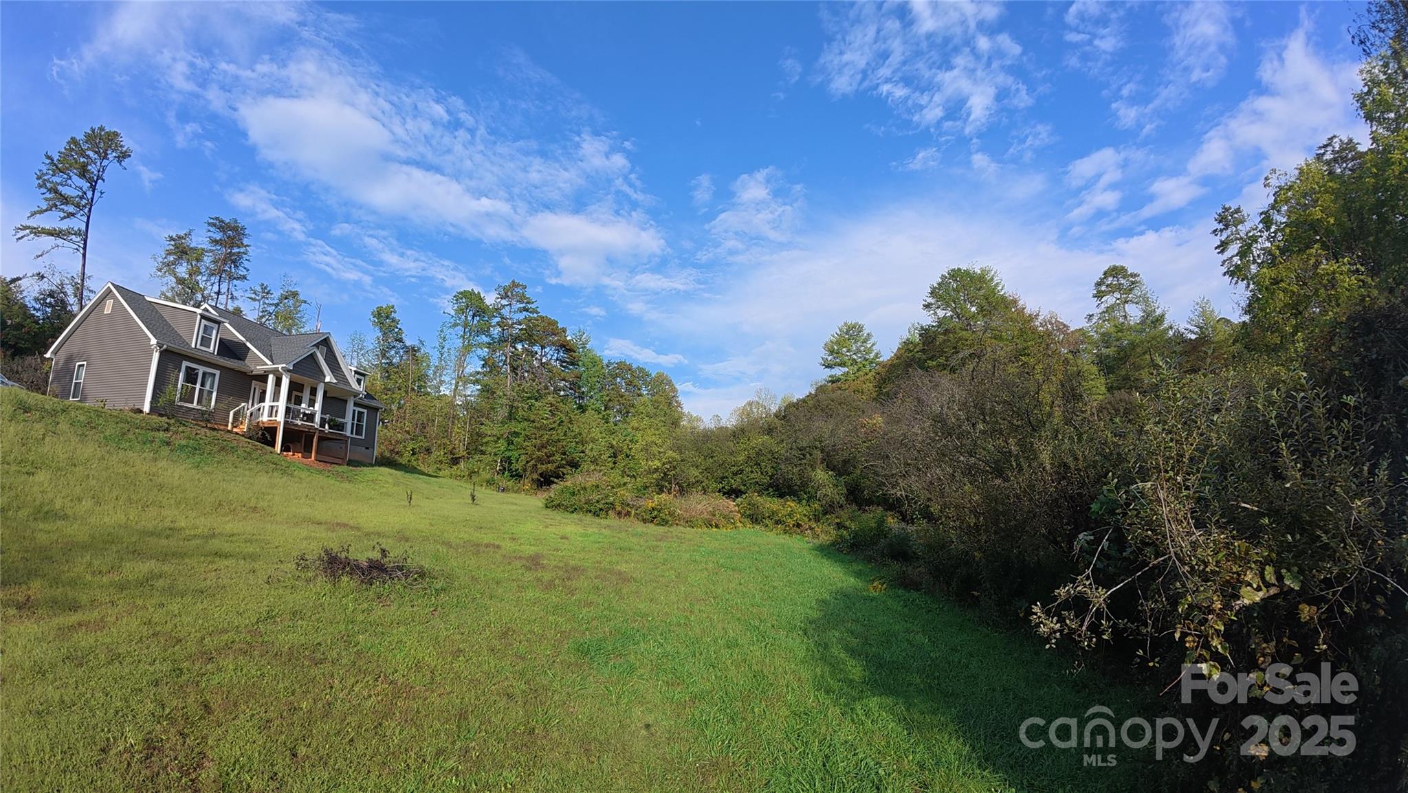 19 Higgins Road Weaverville, NC 28787 - Photo 8 of 48 a view of a big yard with potted plants and large tree
