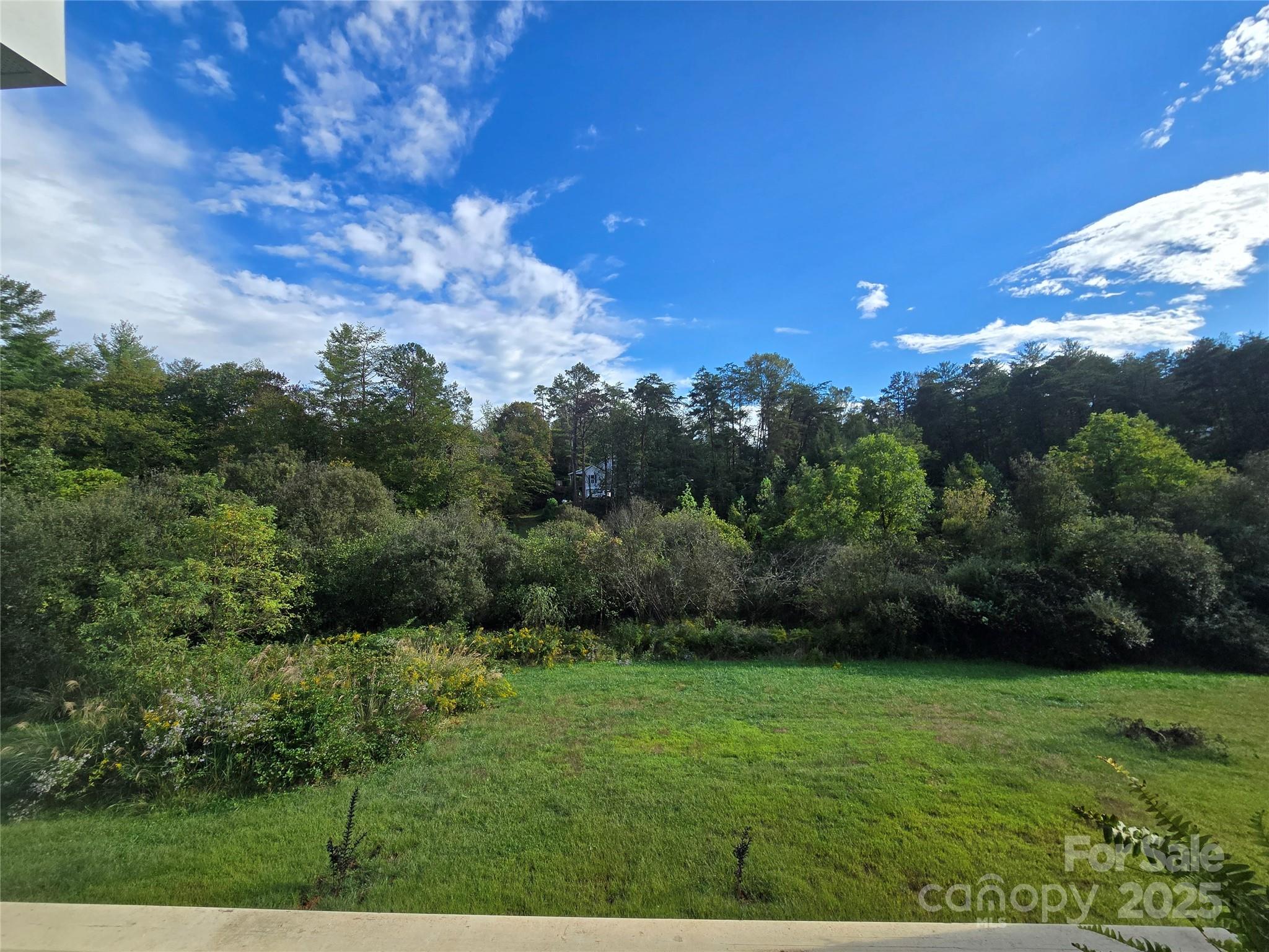 19 Higgins Road Weaverville, NC 28787 - Photo 9 of 48 a view of a yard with a tree