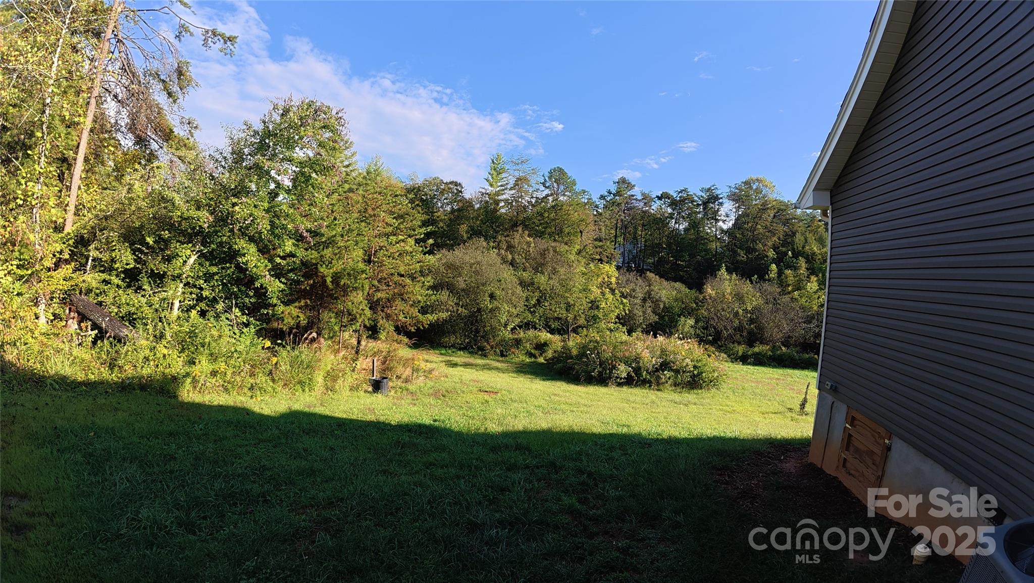 19 Higgins Road Weaverville, NC 28787 - Photo 10 of 48 a view of a garden from a building