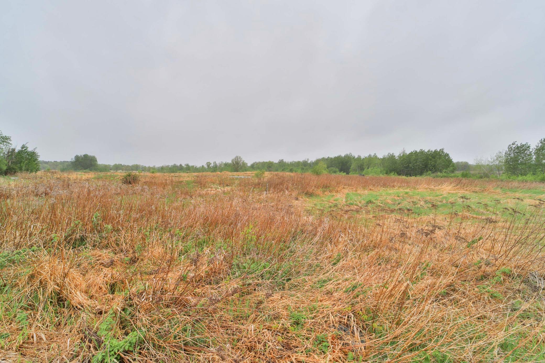 9683 Highway 25 Brainerd, MN 56401 - Photo 17 of 20