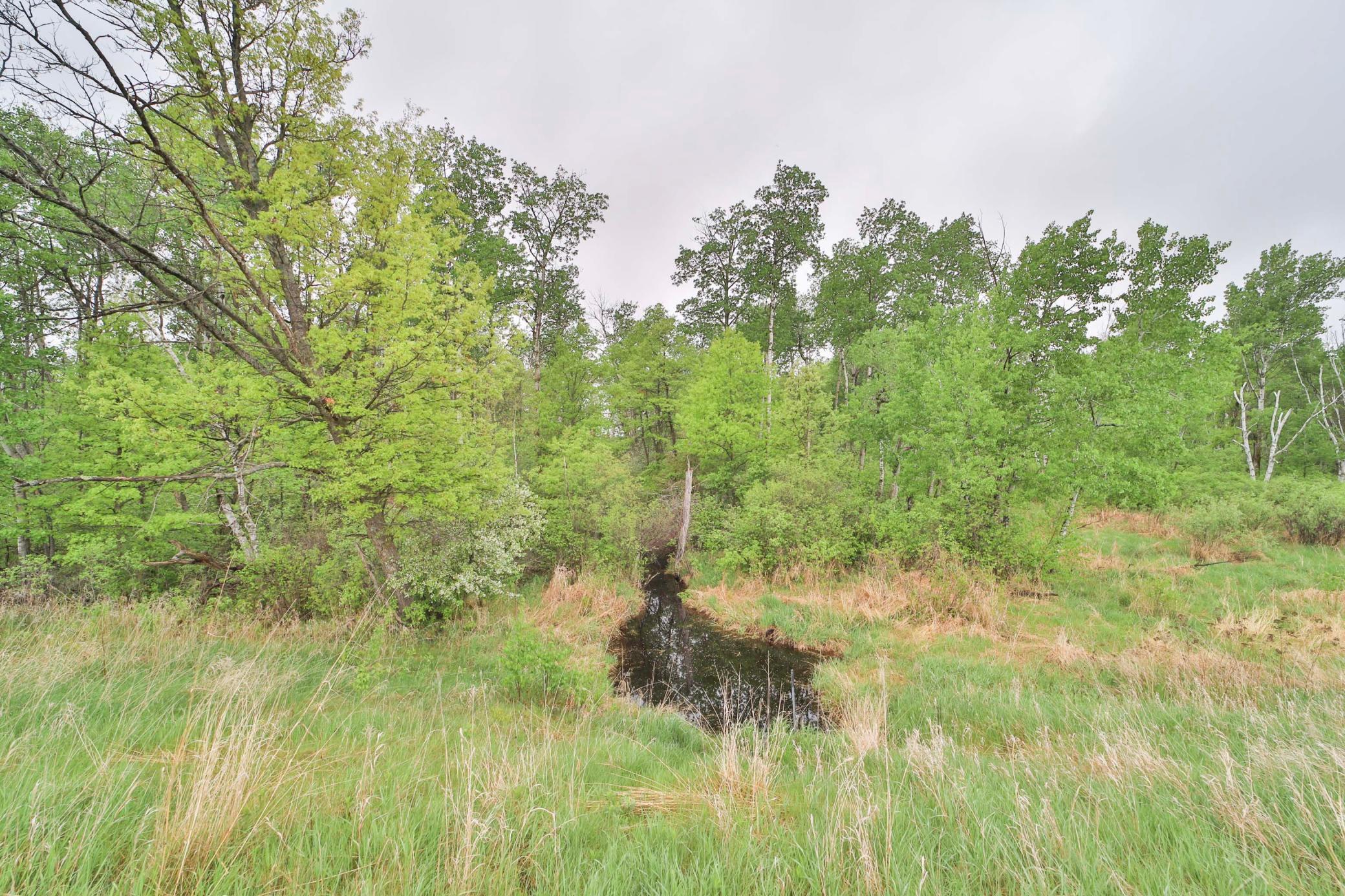 9683 Highway 25 Brainerd, MN 56401 - Photo 3 of 20