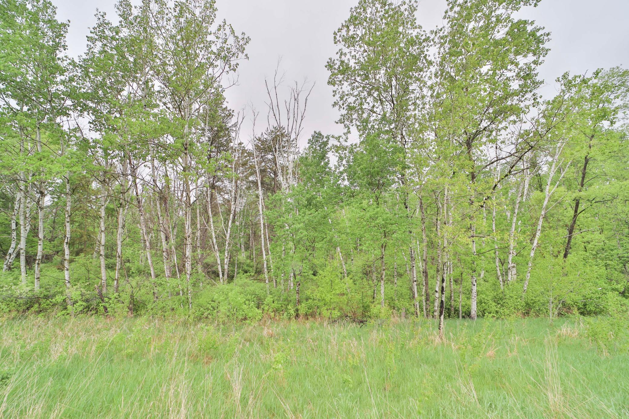 9683 Highway 25 Brainerd, MN 56401 - Photo 4 of 20