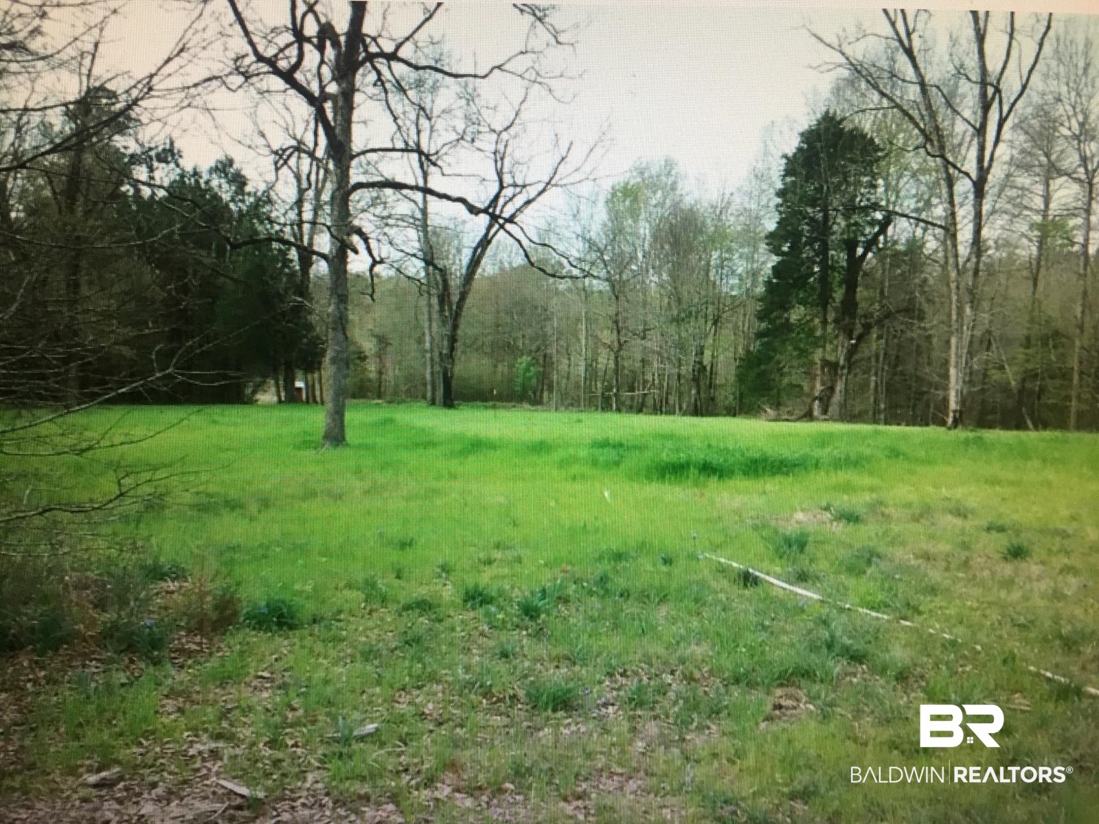 163 West County Road 35 Lower Peach Tree, AL 36751 - Photo 2 of 3