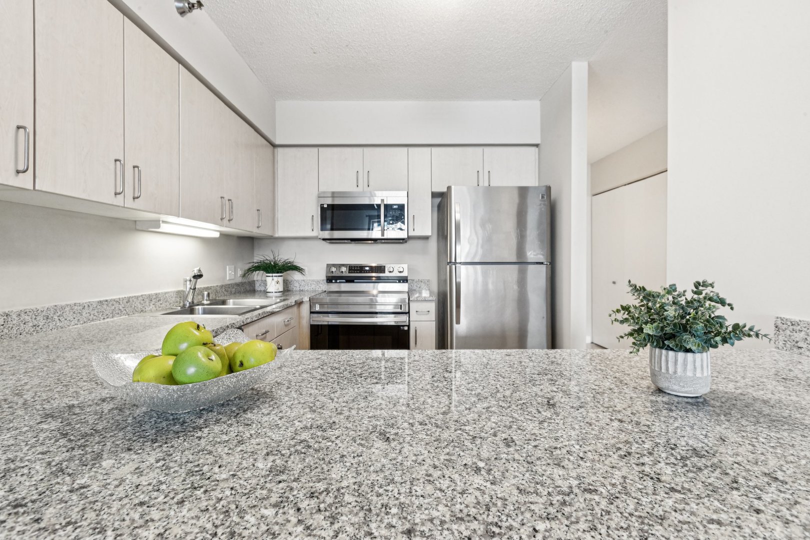 512 North McClurg Court, Unit 3312 Chicago, IL 60611 - Photo 14 of 47 a kitchen with a sink appliances and cabinets