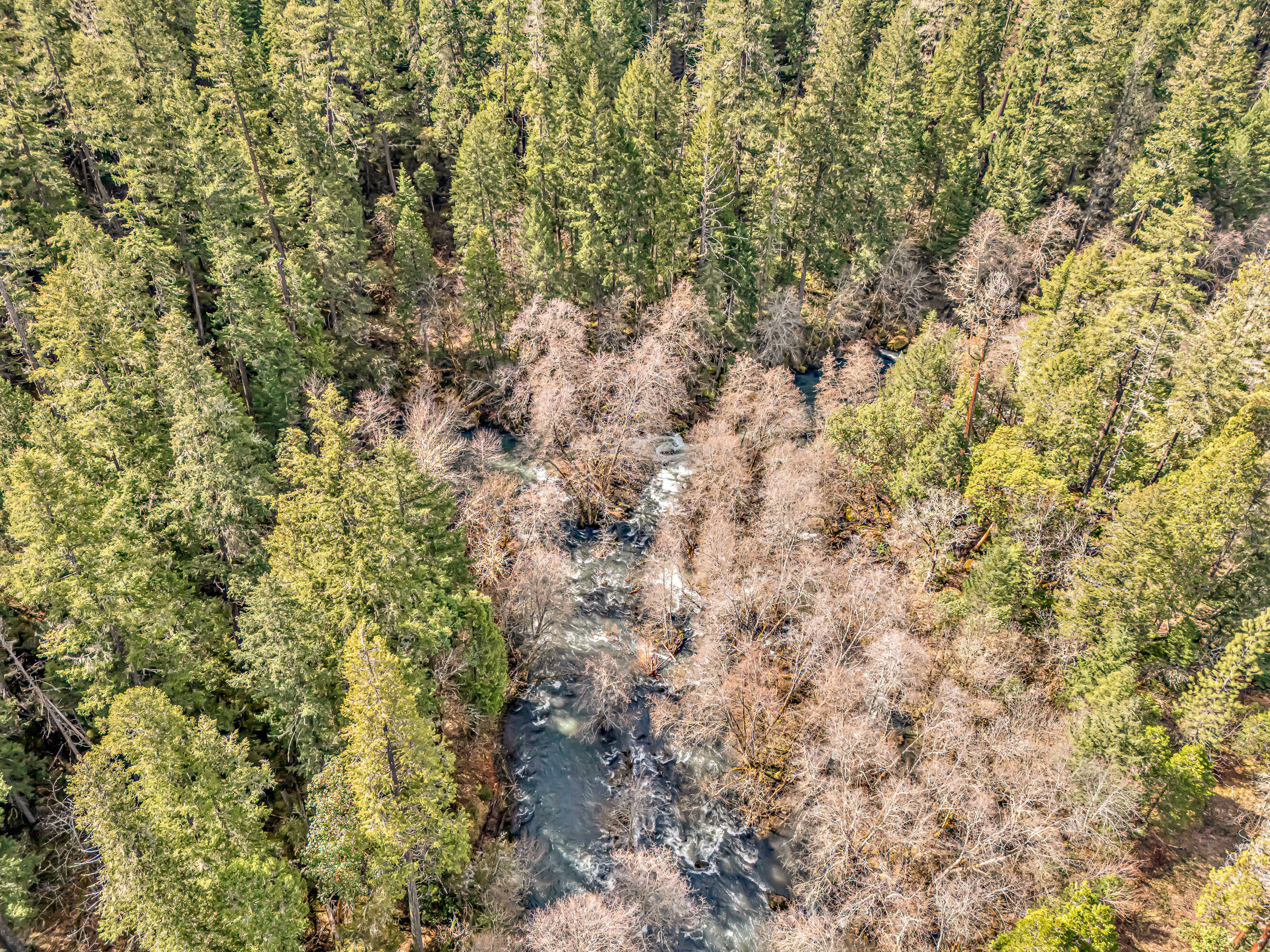 2455 Cobleigh Road Eagle Point, OR 97524 - Photo 62 of 63 DJI_20250325114141_0079_D