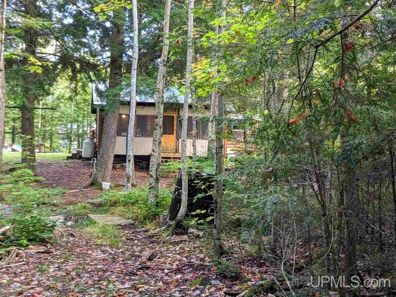 921 Sand River Road Deerton, MI 49822 - Photo 22 of 49 Gallery Image 22