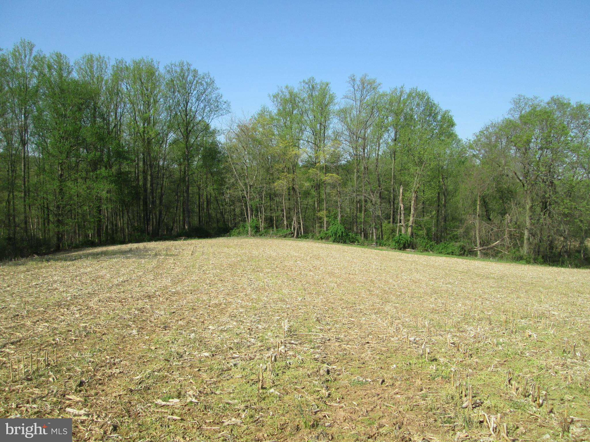 Lot 14 Furnace Road York, PA 17406 - Photo 1 of 10