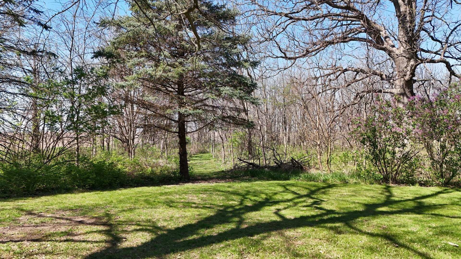 38282 East 1300 North Road Saybrook, IL 61770 - Photo 46 of 63 Gallery Image 46