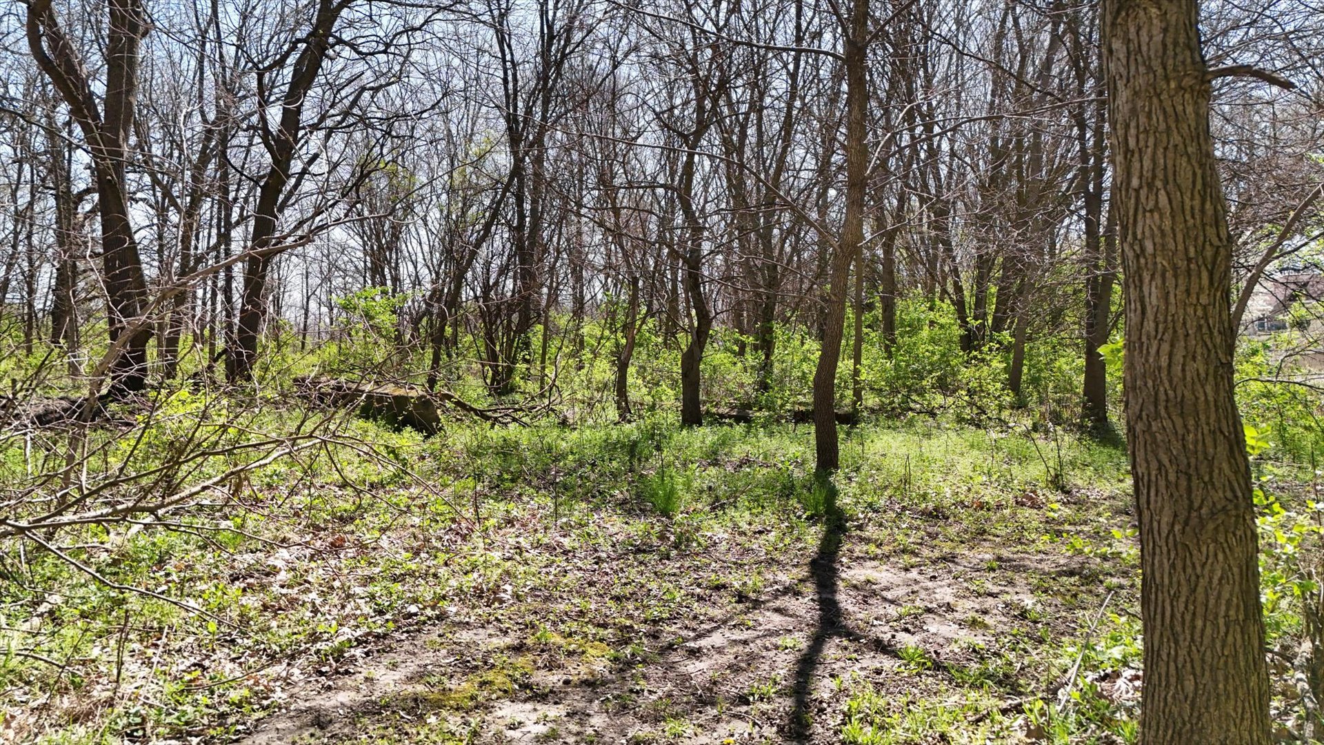 38282 East 1300 North Road Saybrook, IL 61770 - Photo 52 of 63 Gallery Image 52