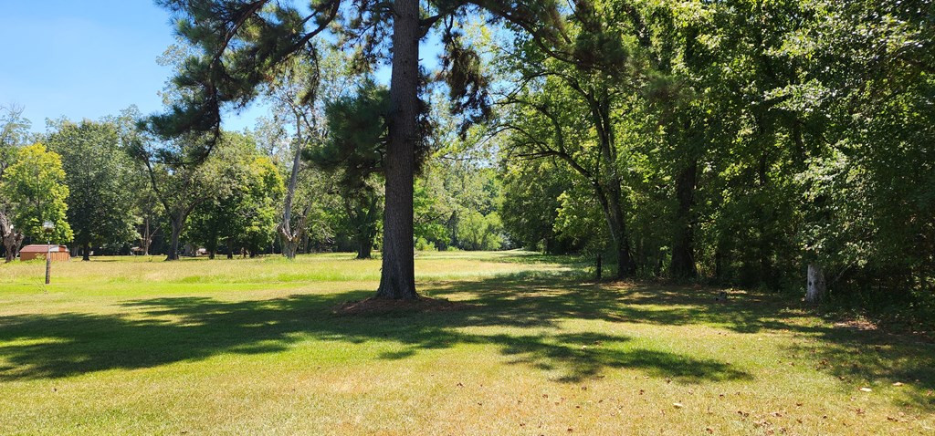 186 Steam Plant Road Natchez, MS 39120 - Photo 10 of 29 Photo 10