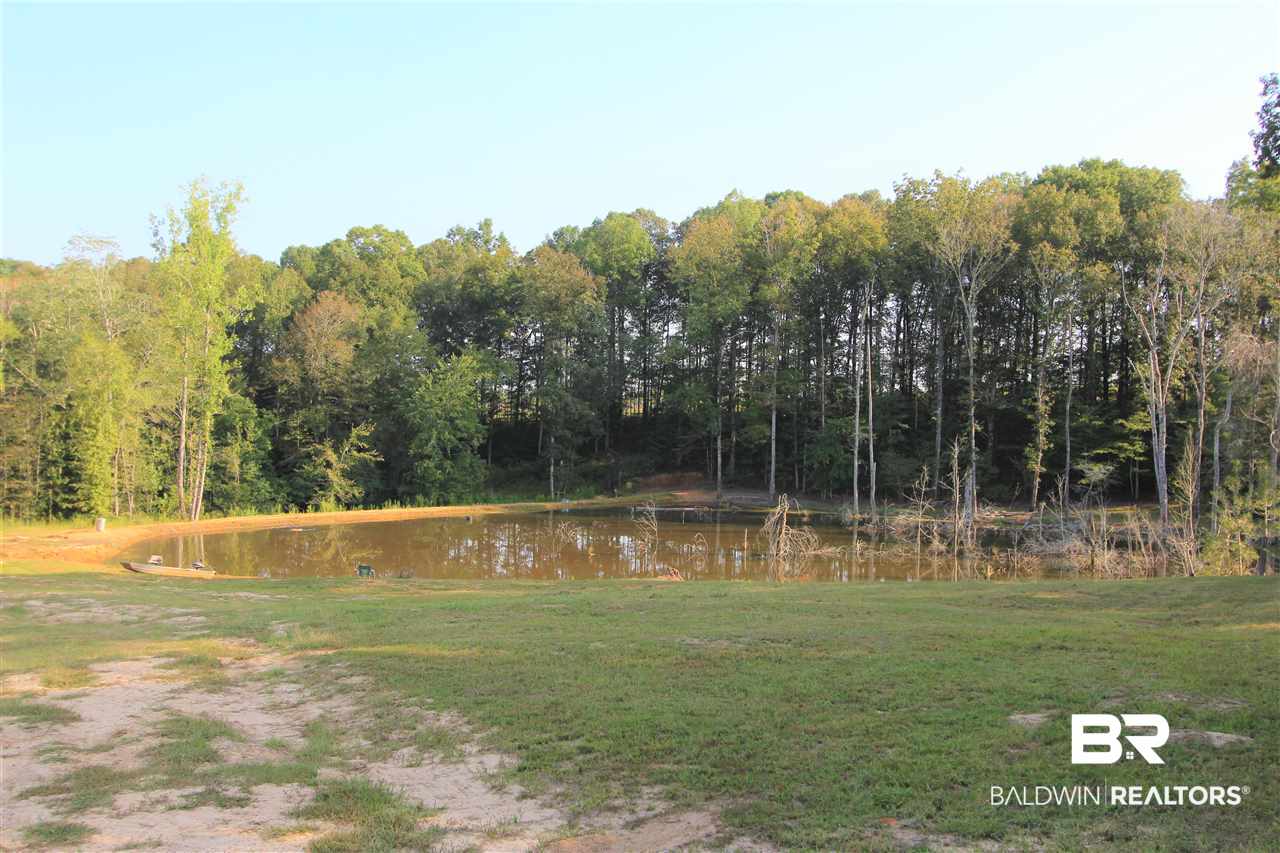 794 Dry Lake Road Luverne, AL 36049 - Photo 5 of 48 Fish Pond