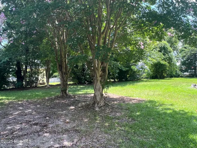 $150,000 | 413 West Church Street, Williamston, NC 27892