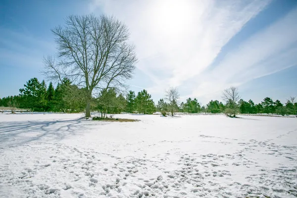 $169,000 | 2286 28th Avenue Southwest, Unit 306, Pine River, MN 56474