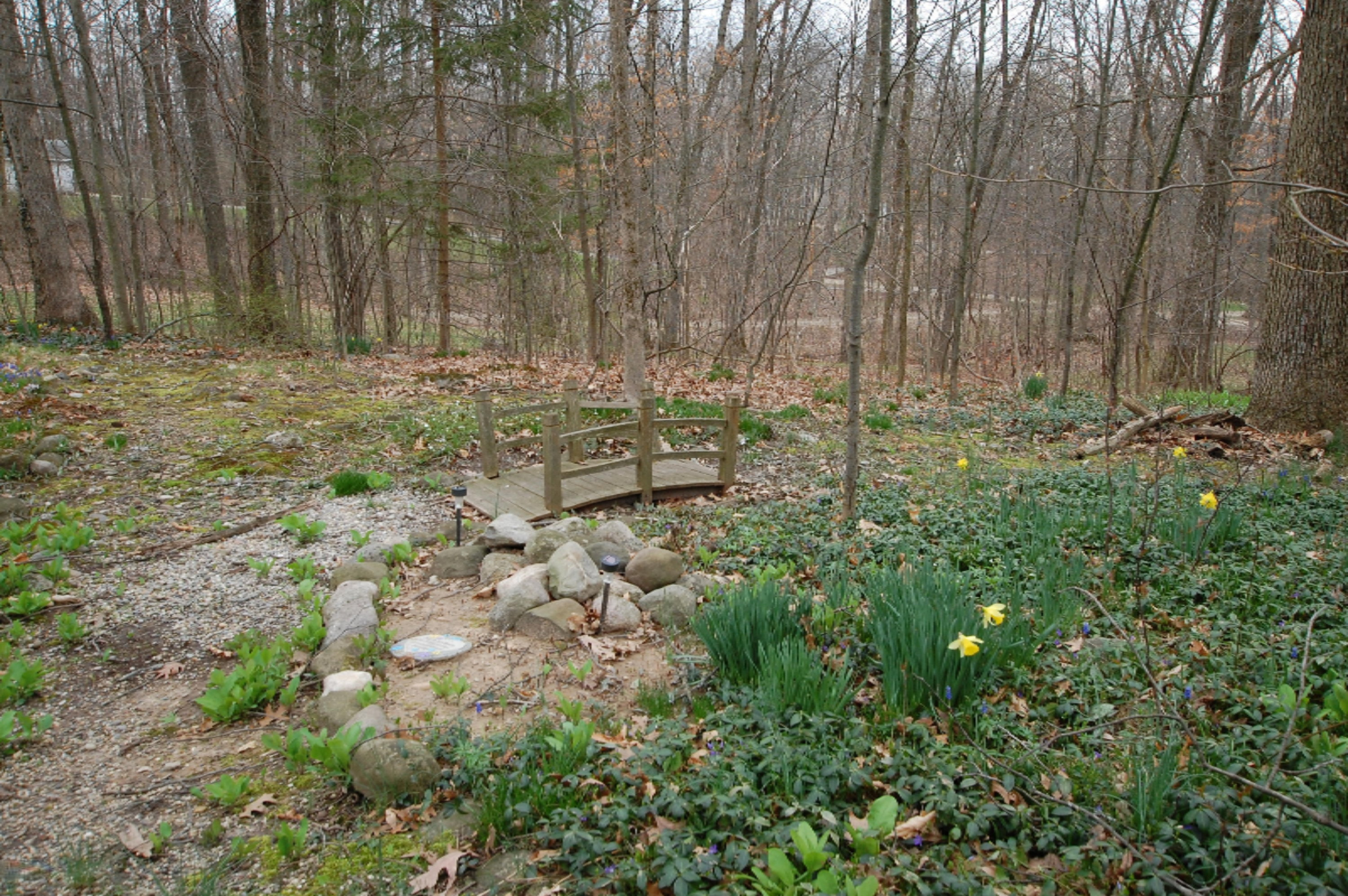 6810 West Crane Road Middleville, MI 49333 - Photo 11 of 32 DSC_0184 (1)