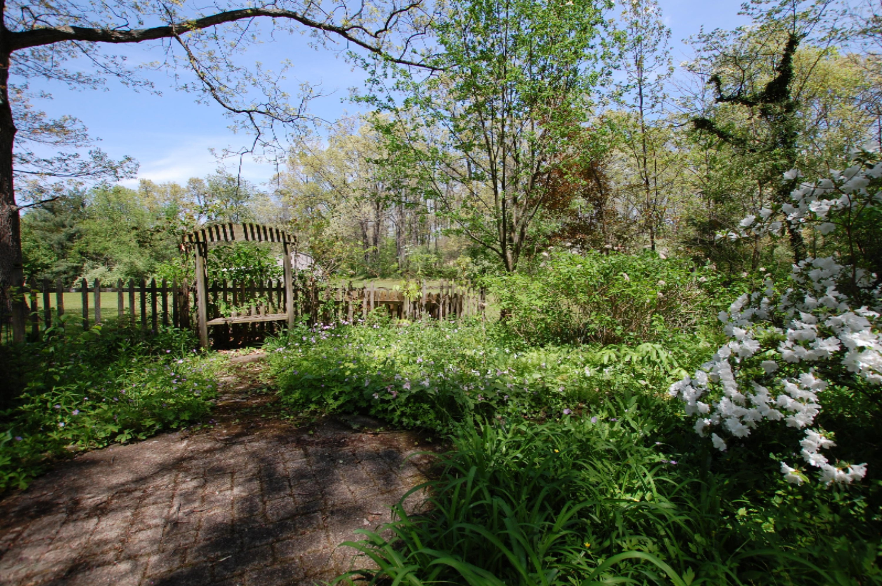 6810 West Crane Road Middleville, MI 49333 - Photo 12 of 32 DSC_0213