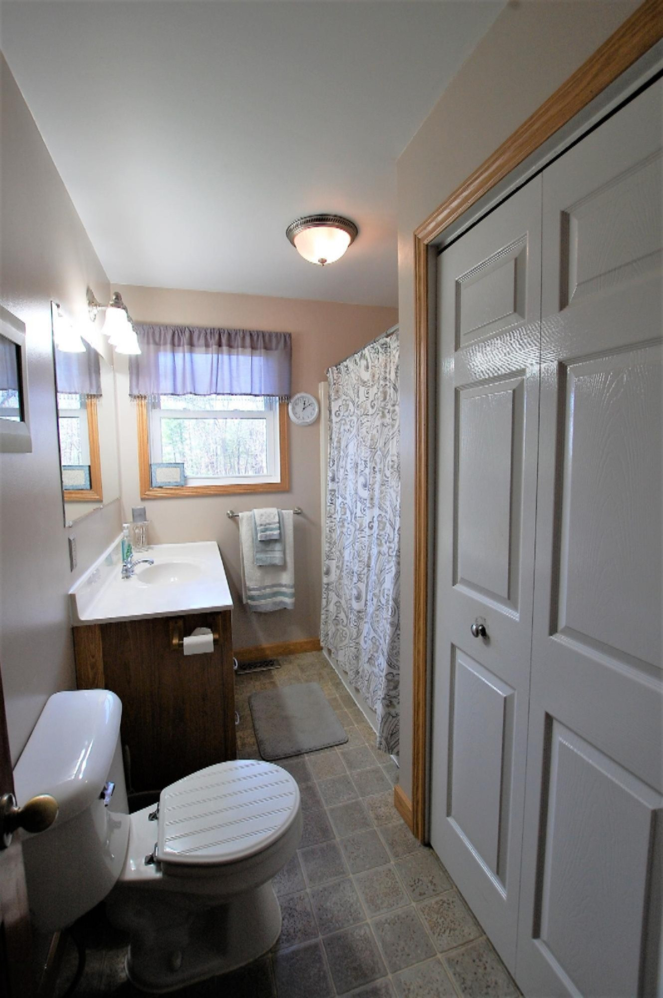 6810 West Crane Road Middleville, MI 49333 - Photo 21 of 32 Main Level Bathroom