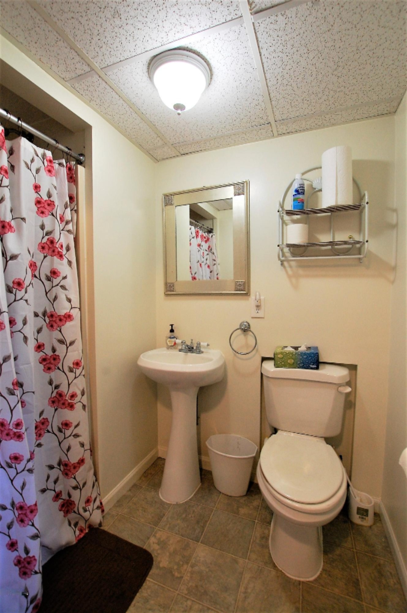 6810 West Crane Road Middleville, MI 49333 - Photo 27 of 32 Lower Level Bathroom