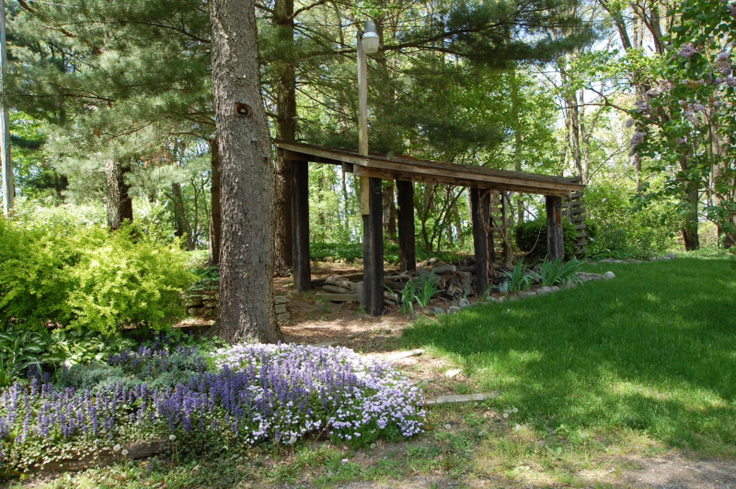6810 West Crane Road Middleville, MI 49333 - Photo 6 of 32 DSC_0191
