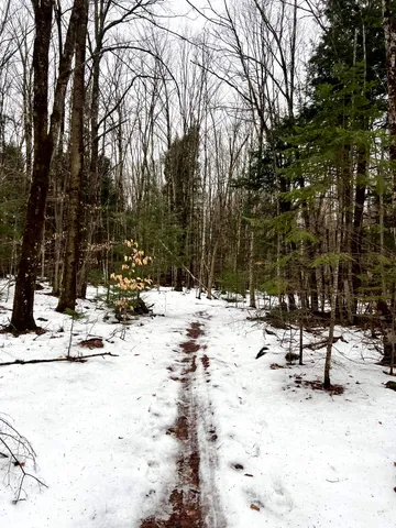 $1,300,000 | -- Baird Road, Barton, VT 05822