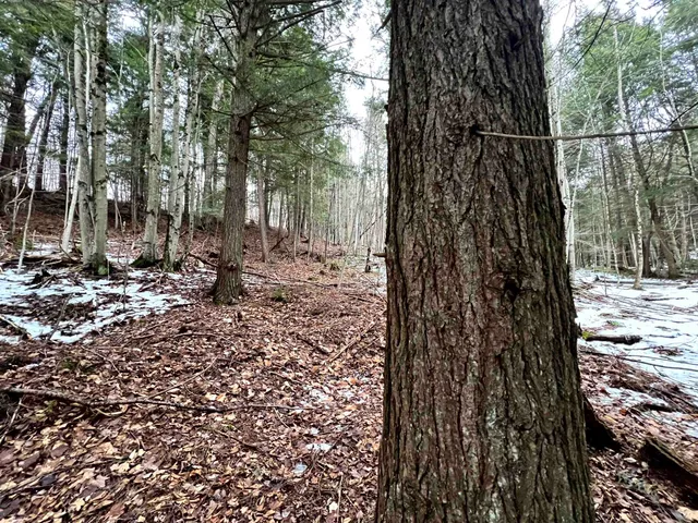 $1,300,000 | -- Baird Road, Barton, VT 05822