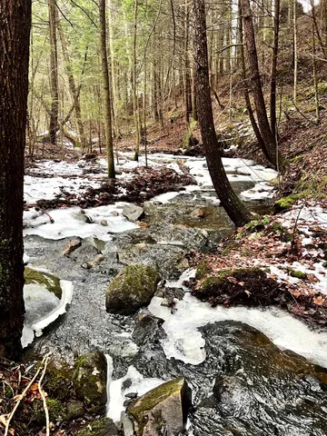 $1,300,000 | -- Baird Road, Barton, VT 05822