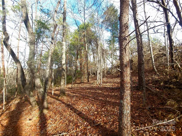 a view of outdoor space with trees