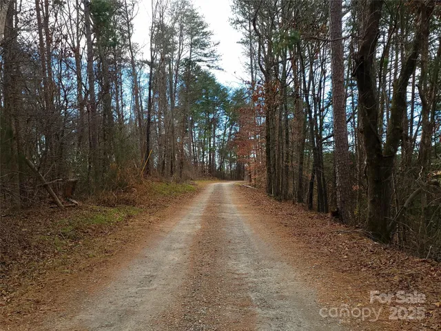 a view of backyard with green space