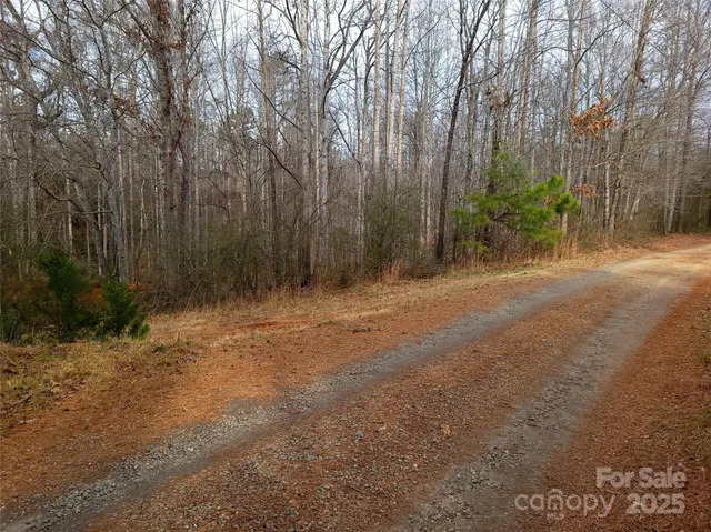 a view of a yard with trees