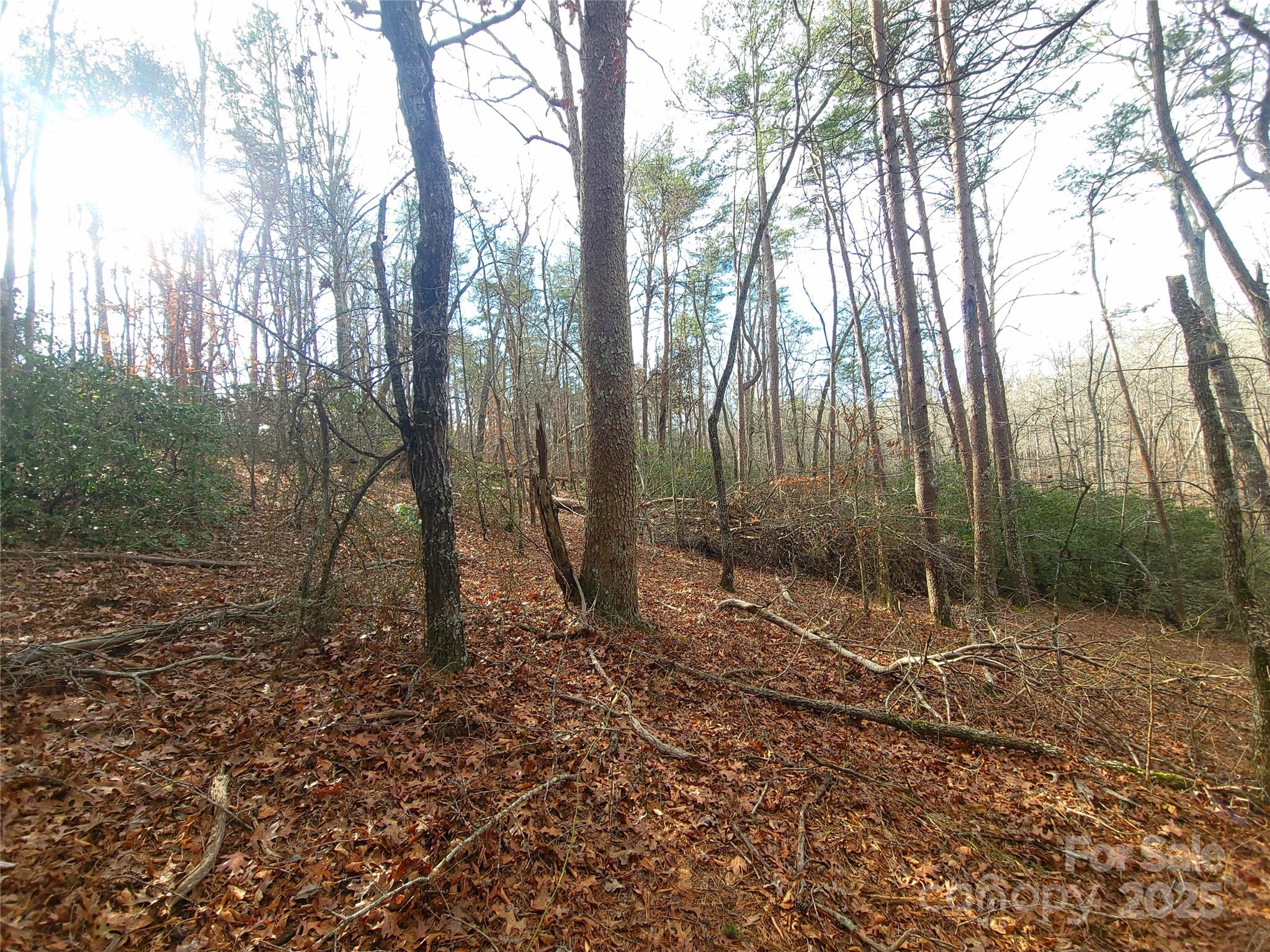0 Skylark Lane, Unit 8 Tryon, NC 28782 - Photo 3 of 15 a backyard of a house with lots of green space
