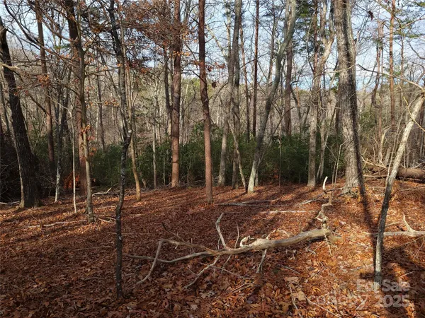 a view of a backyard with large trees