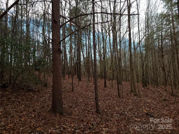 a view of outdoor space with lots of trees