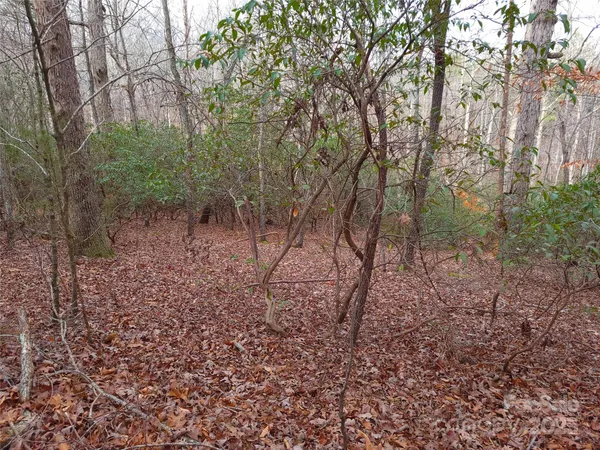a view of a yard