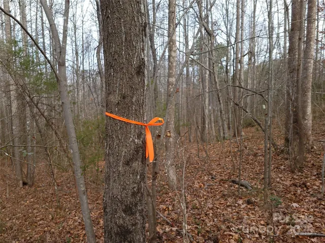 a backyard of a house with a street