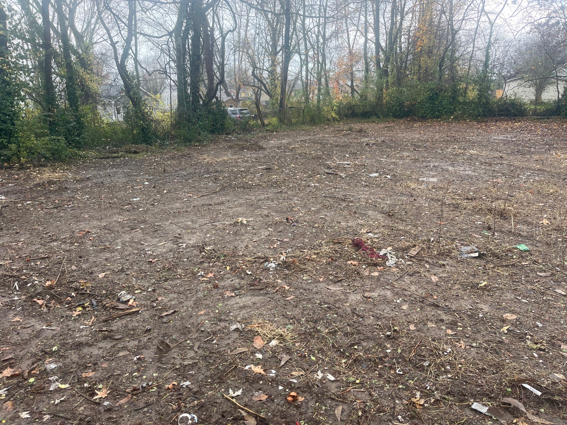 588 19th Avenue West Springfield, TN 37172 - Photo 3 of 6 a view of backyard with green space