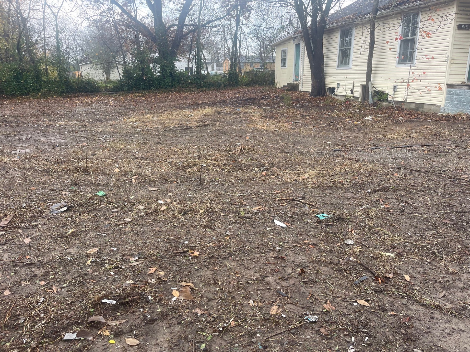588 19th Avenue West Springfield, TN 37172 - Photo 4 of 6 a view of a house with a yard
