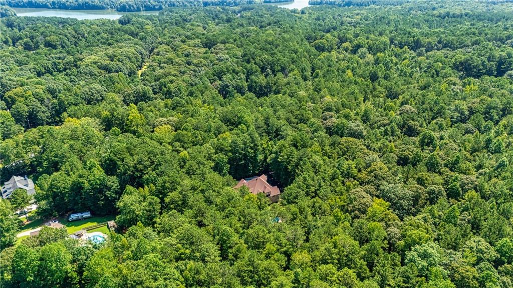 394 South Alexander Creek Road Newnan, GA 30263 - Photo 72 of 76 an aerial view of a house with a yard