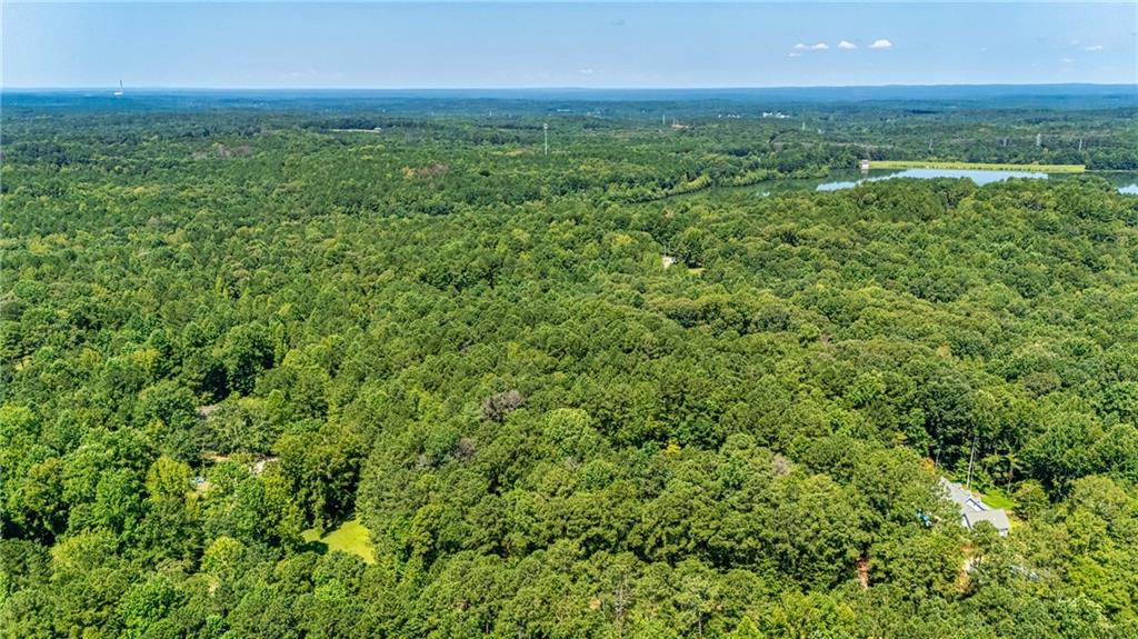 394 South Alexander Creek Road Newnan, GA 30263 - Photo 76 of 76 a view of a green field with lots of bushes