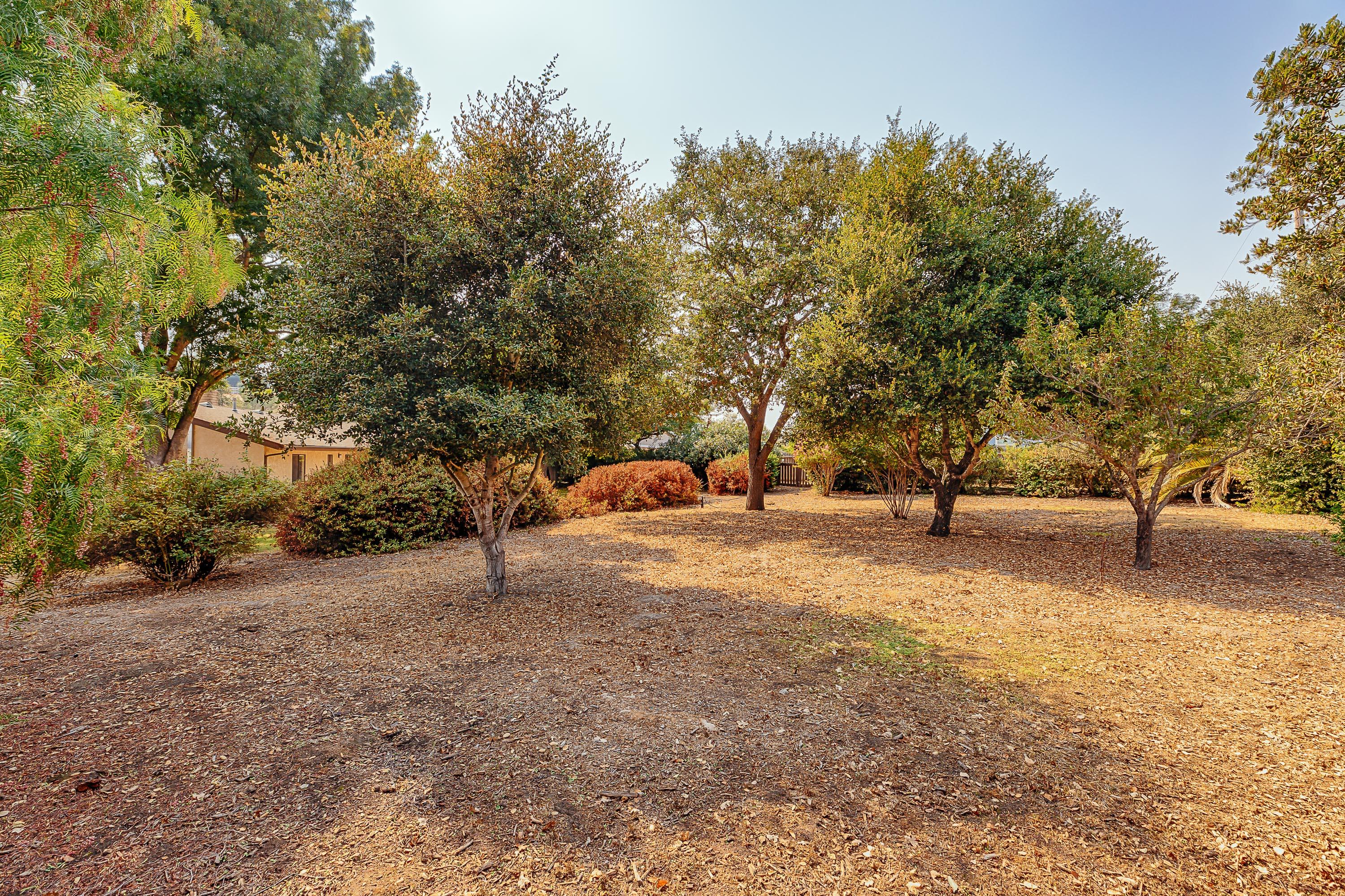 1837 Viborg Road Solvang, CA 93463 - Photo 19 of 20 a view of outdoor space with trees