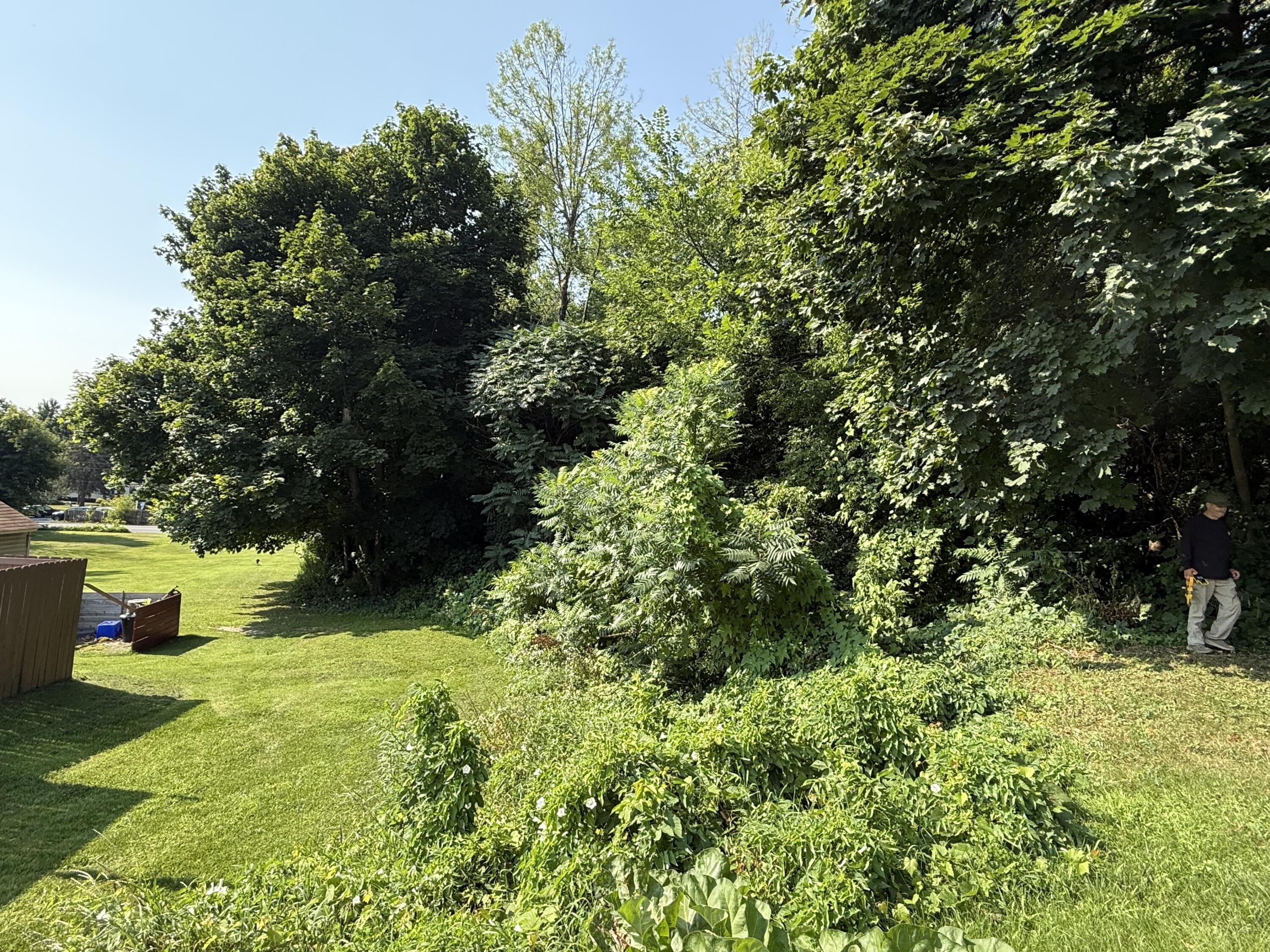 115 Wallace Hill Road Plattsburgh, NY 12901 - Photo 21 of 28 Gallery Image 21