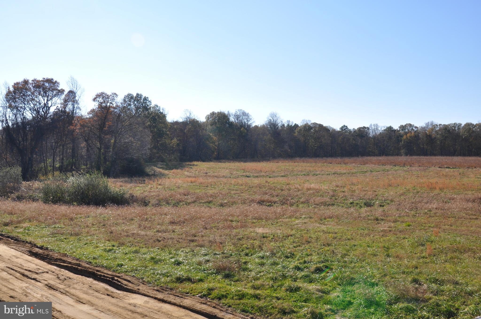 8415 Rock Hall Road Chestertown, MD 21620 - Photo 8 of 19 Gallery Image 8