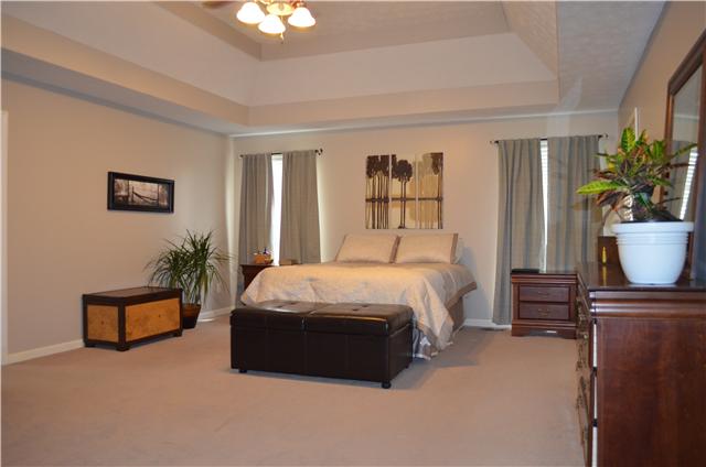 3225 Ridge Road Cedar Hill, TN 37032 - Photo 12 of 20 Gorgeous Master Bedroom