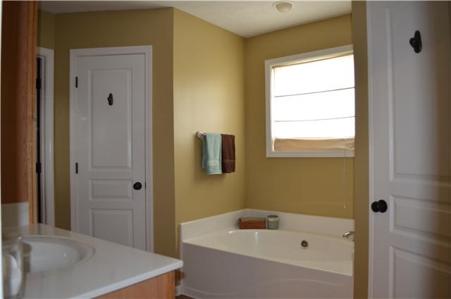 3225 Ridge Road Cedar Hill, TN 37032 - Photo 15 of 20 Master Bathroom