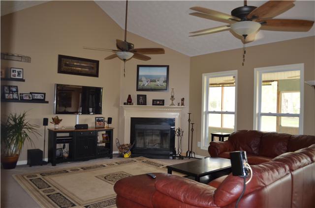3225 Ridge Road Cedar Hill, TN 37032 - Photo 7 of 20 Another Living Room View Showing Wood Burning Fireplace