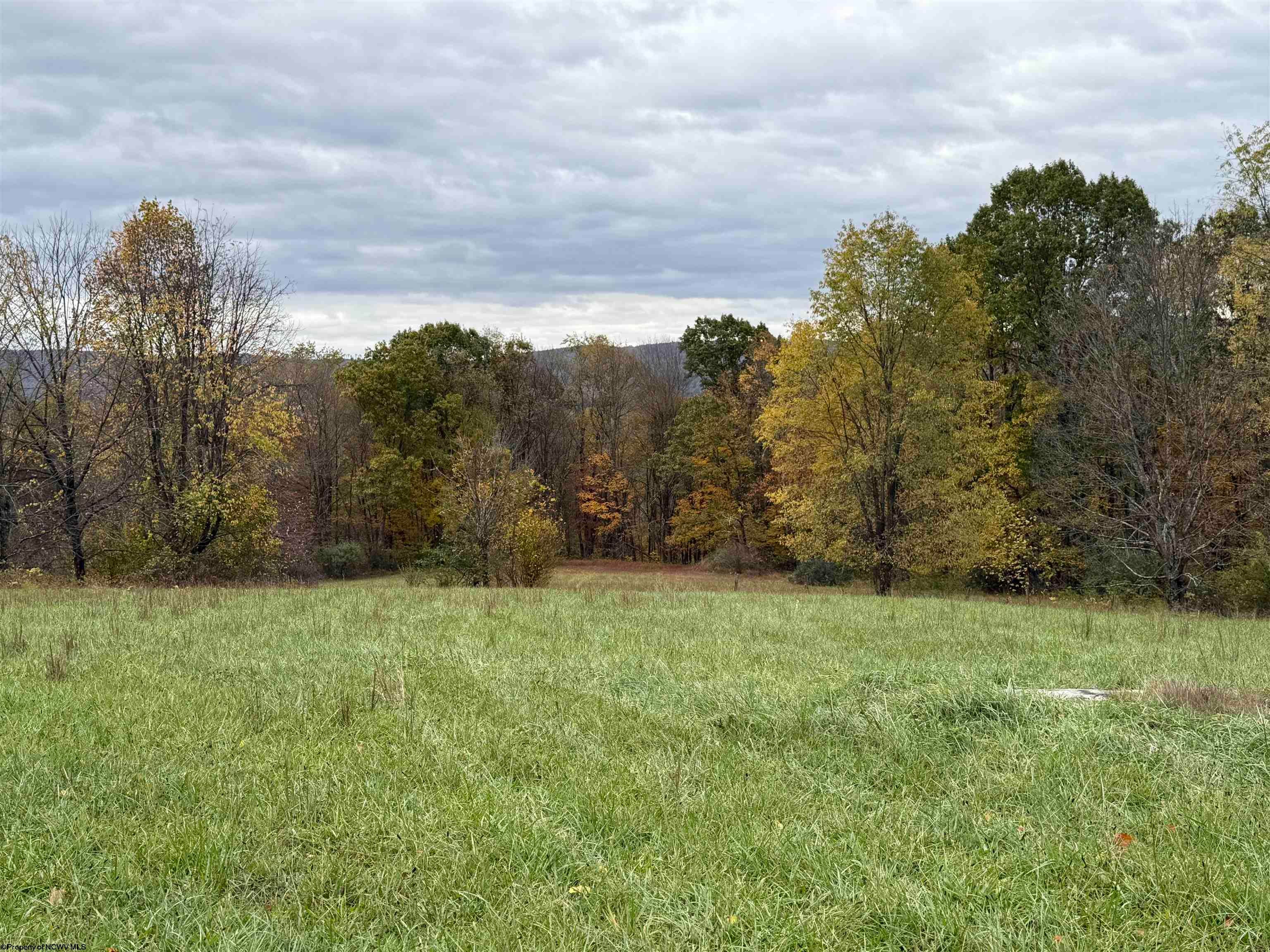0 Riggins Kingwood, WV 26537 - Photo 13 of 40 Gallery Image 13