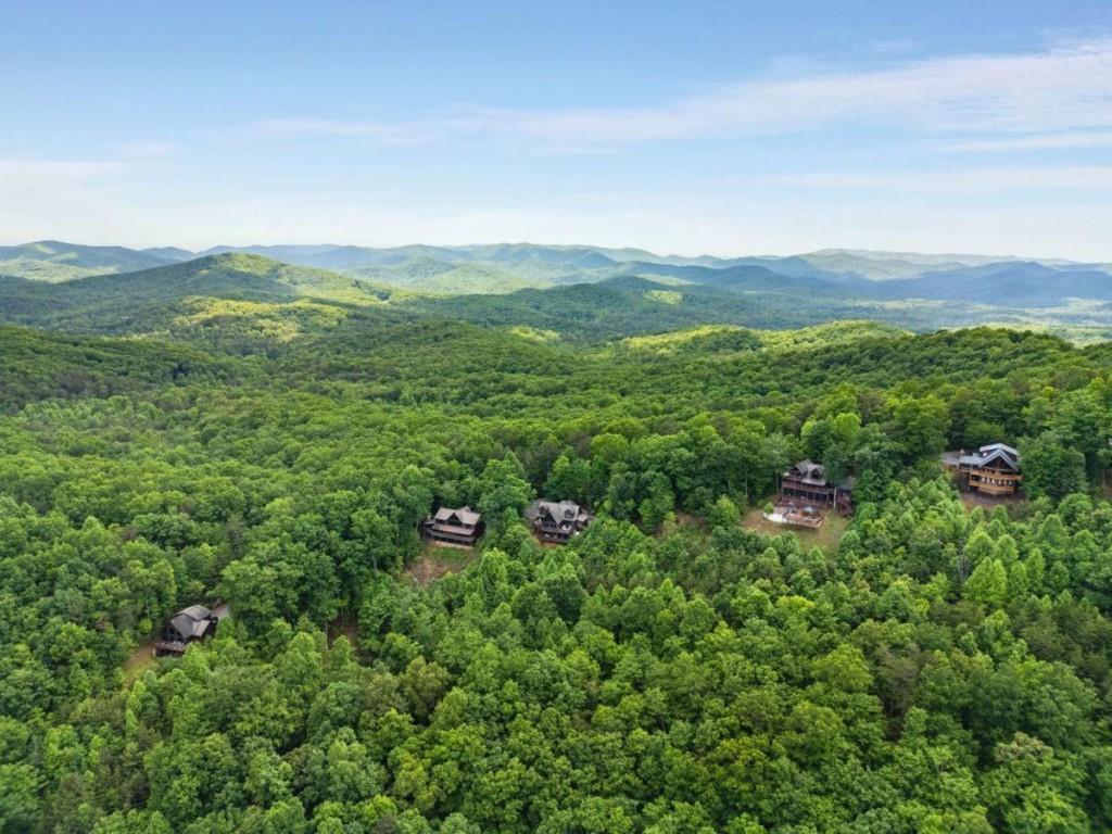 231 Sunrock Mountain Trail Blue Ridge, GA 30513 - Photo 60 of 61 a view of a lush green field with lots of bushes