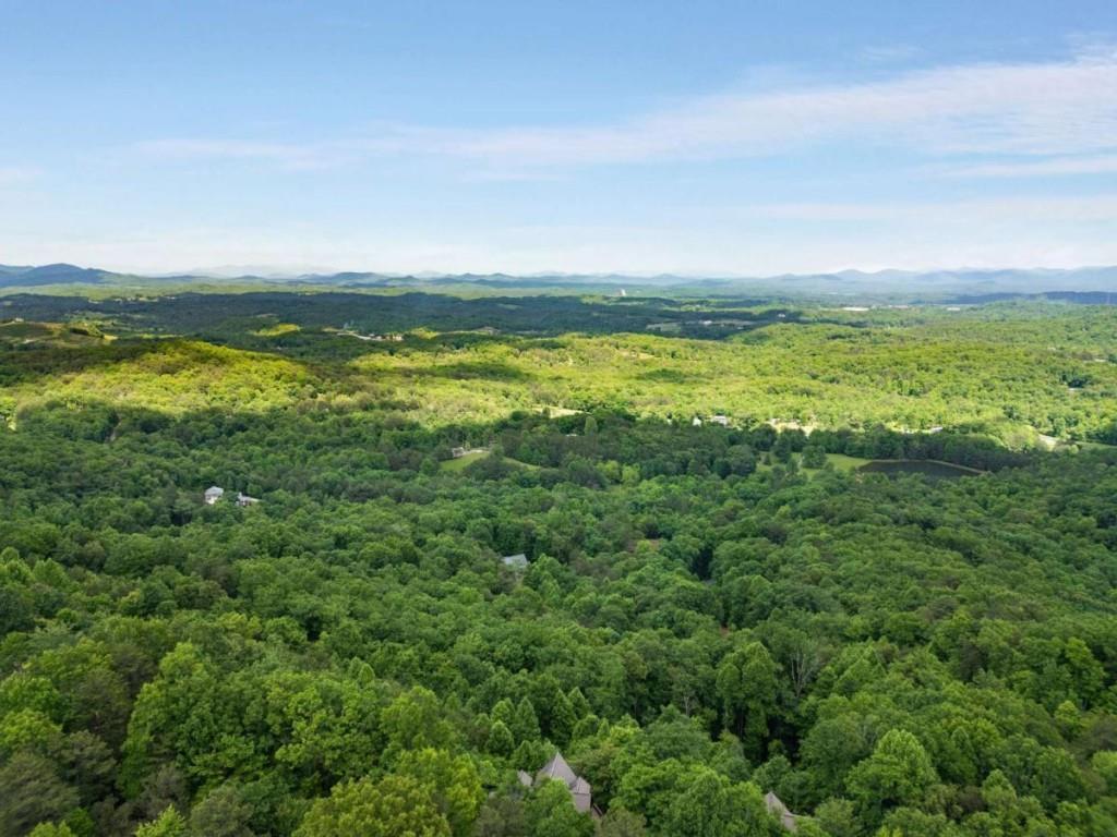 231 Sunrock Mountain Trail Blue Ridge, GA 30513 - Photo 61 of 61