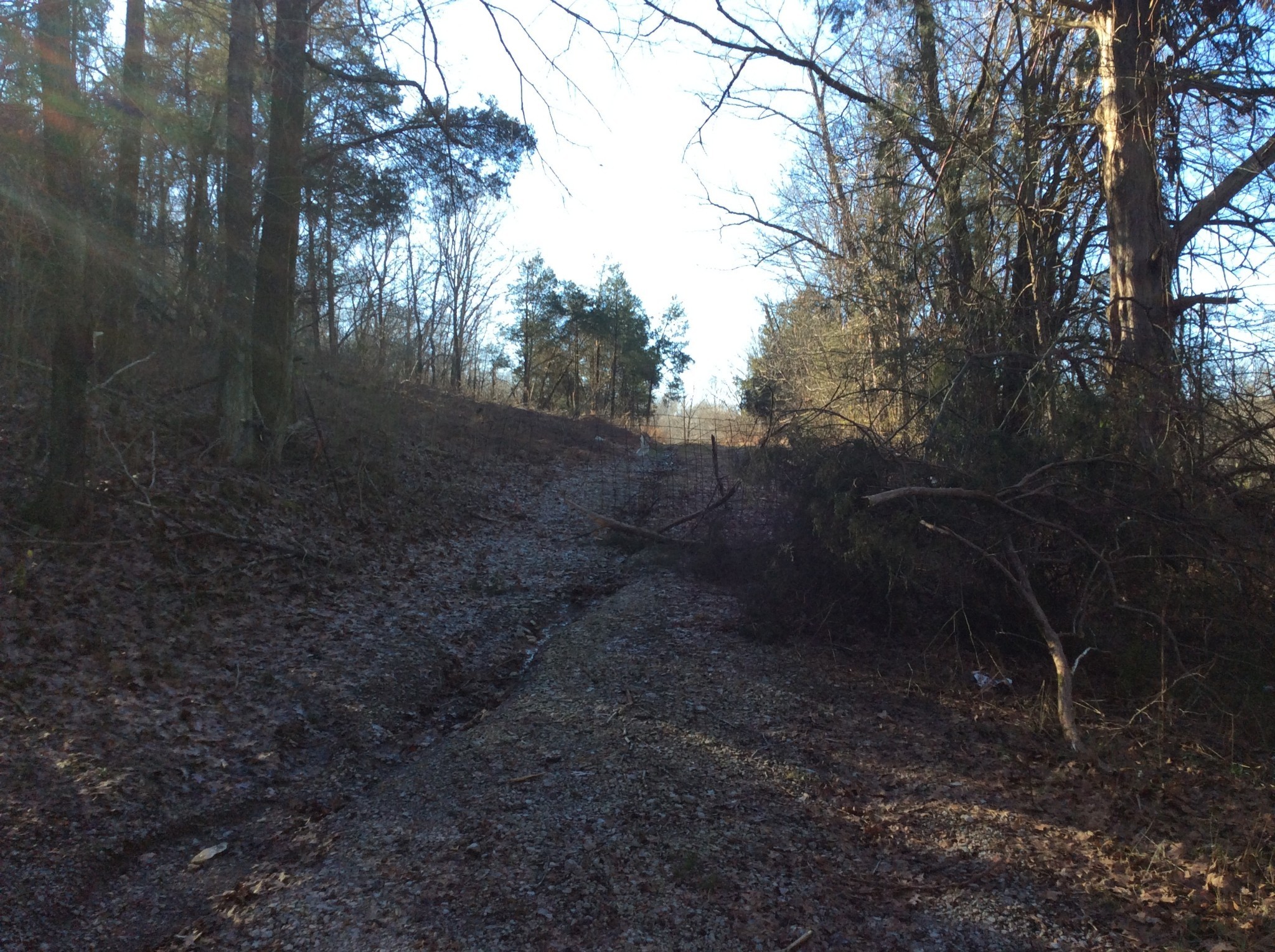 0 Hoovers Gap Frontage Road Christiana, TN 37037 - Photo 1 of 7 a view of a yard with trees